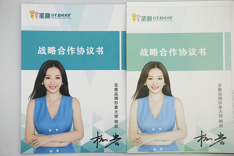 產(chǎn)品宣傳冊(cè)